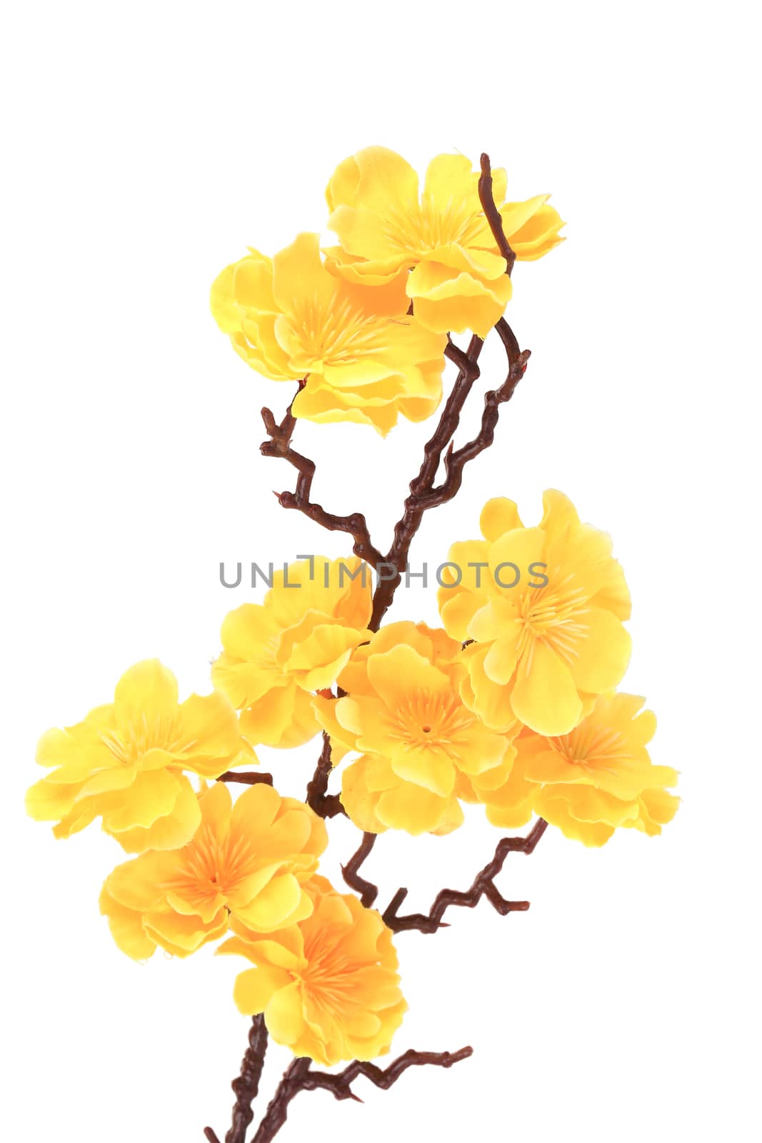 Artificial branch with yellow flowers. by indigolotos