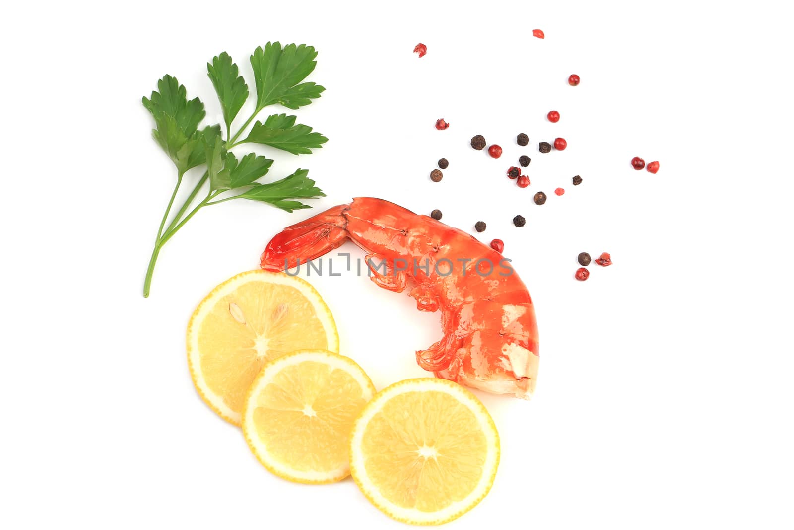 Shrimp close up on white. Isolated on a white background.