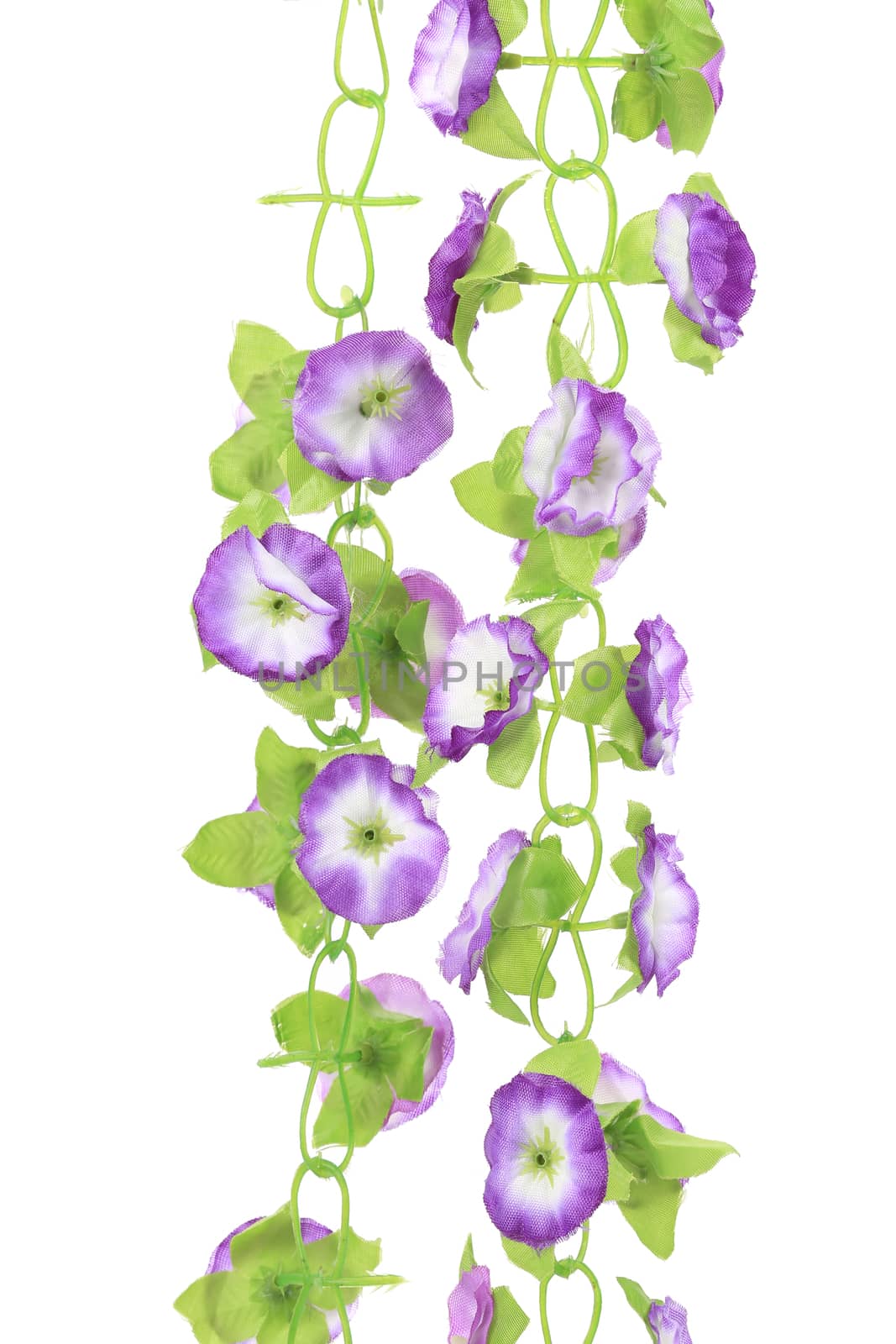Hanging artificial flowers. On a white background.