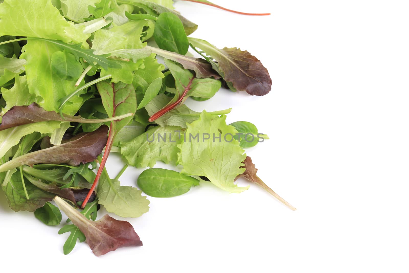 Mix salad close up. Macro. Whole background.