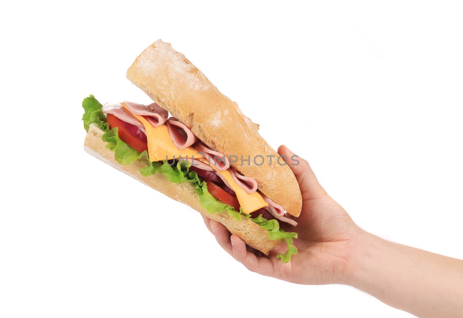 Big fresh sandwich in hands. Isolated on a white background.