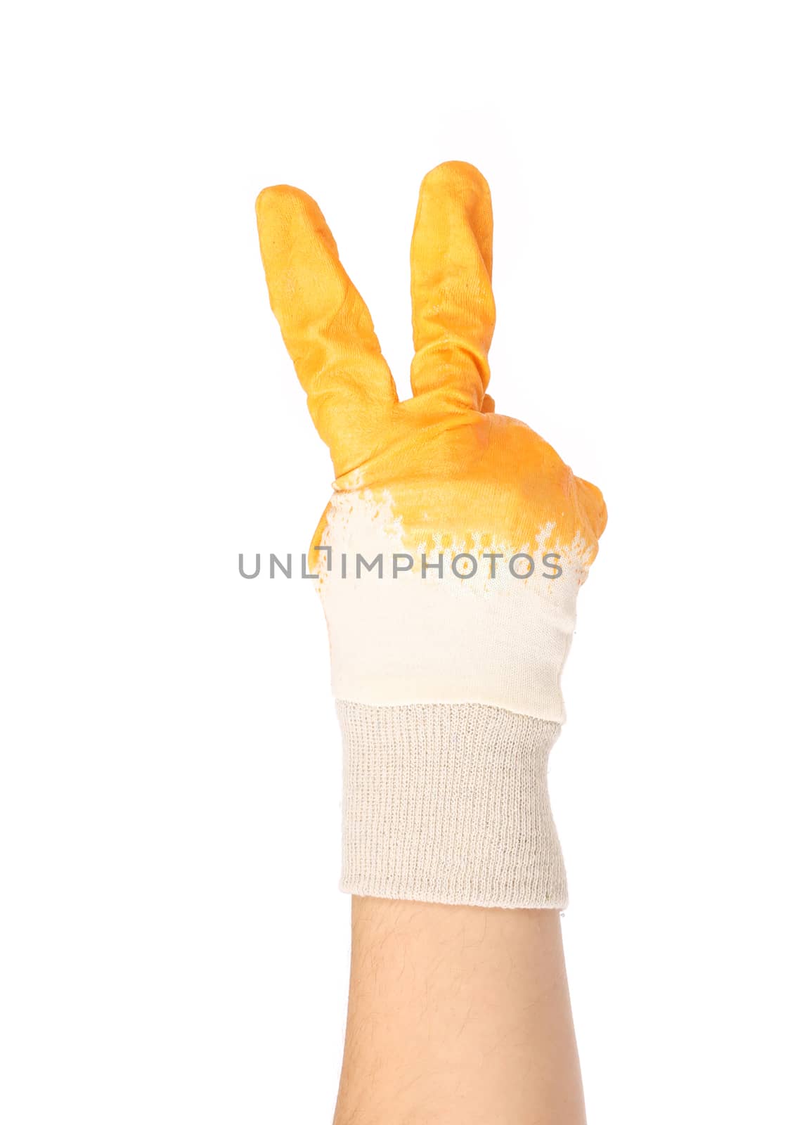 Hand in rubber glove shows two. Isolated on a white background.