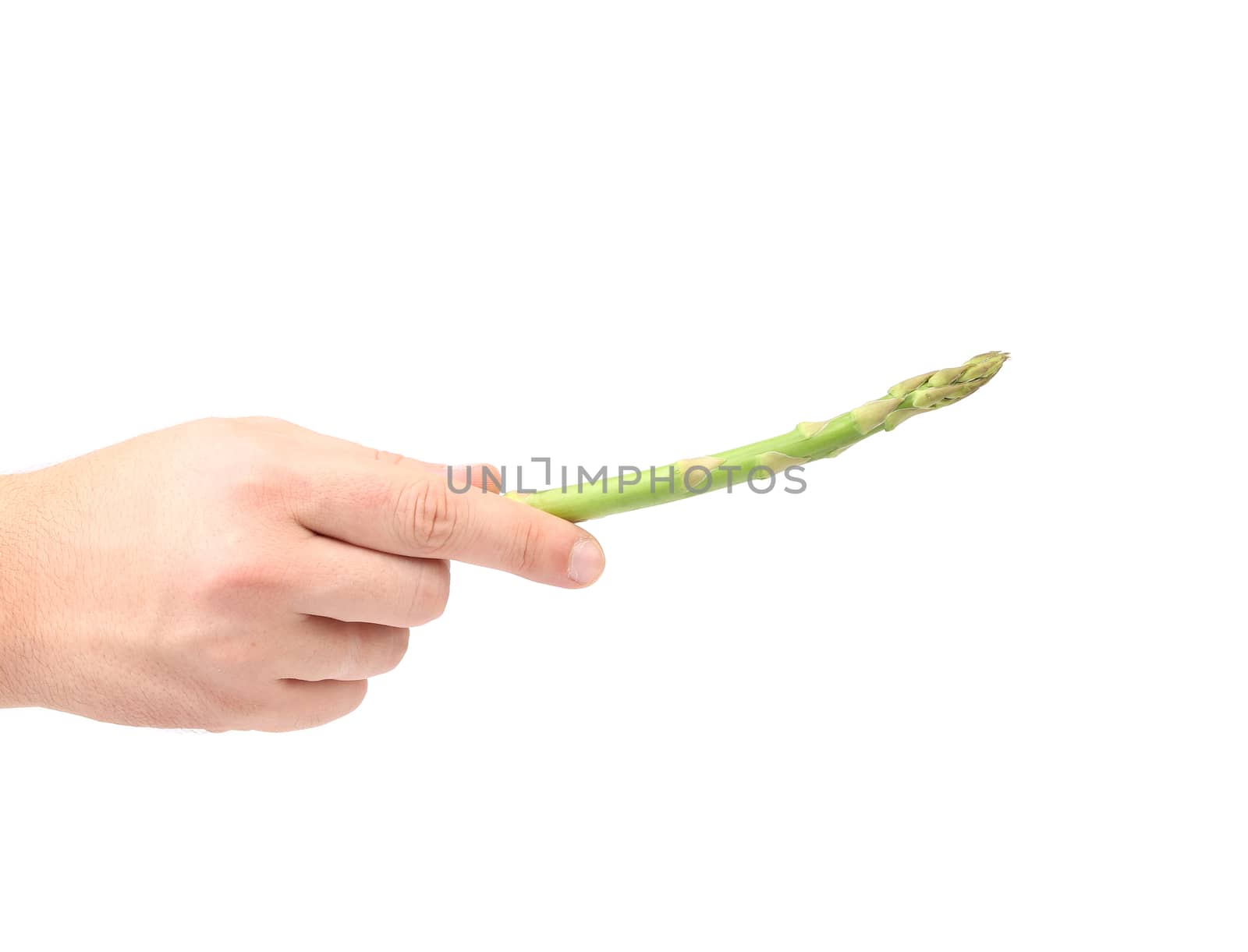 Hand holding fresh asparagus. Isolated on a white background.