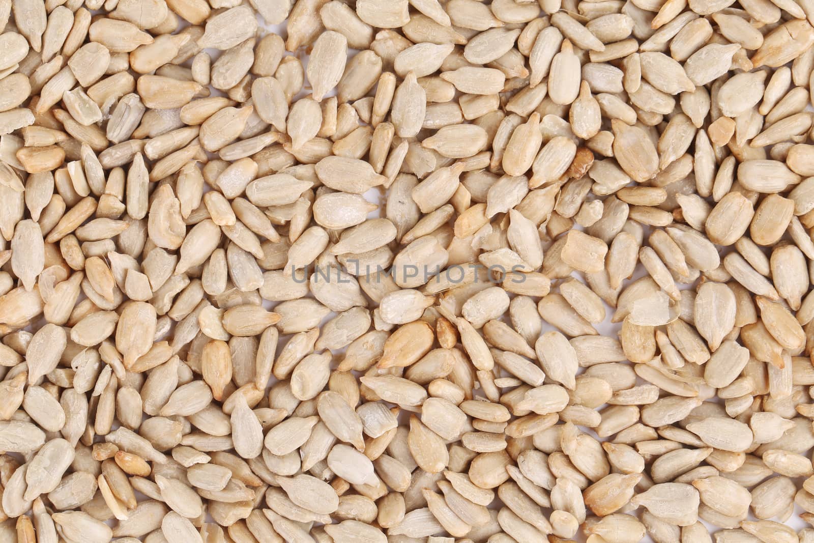 Sunflower seeds.