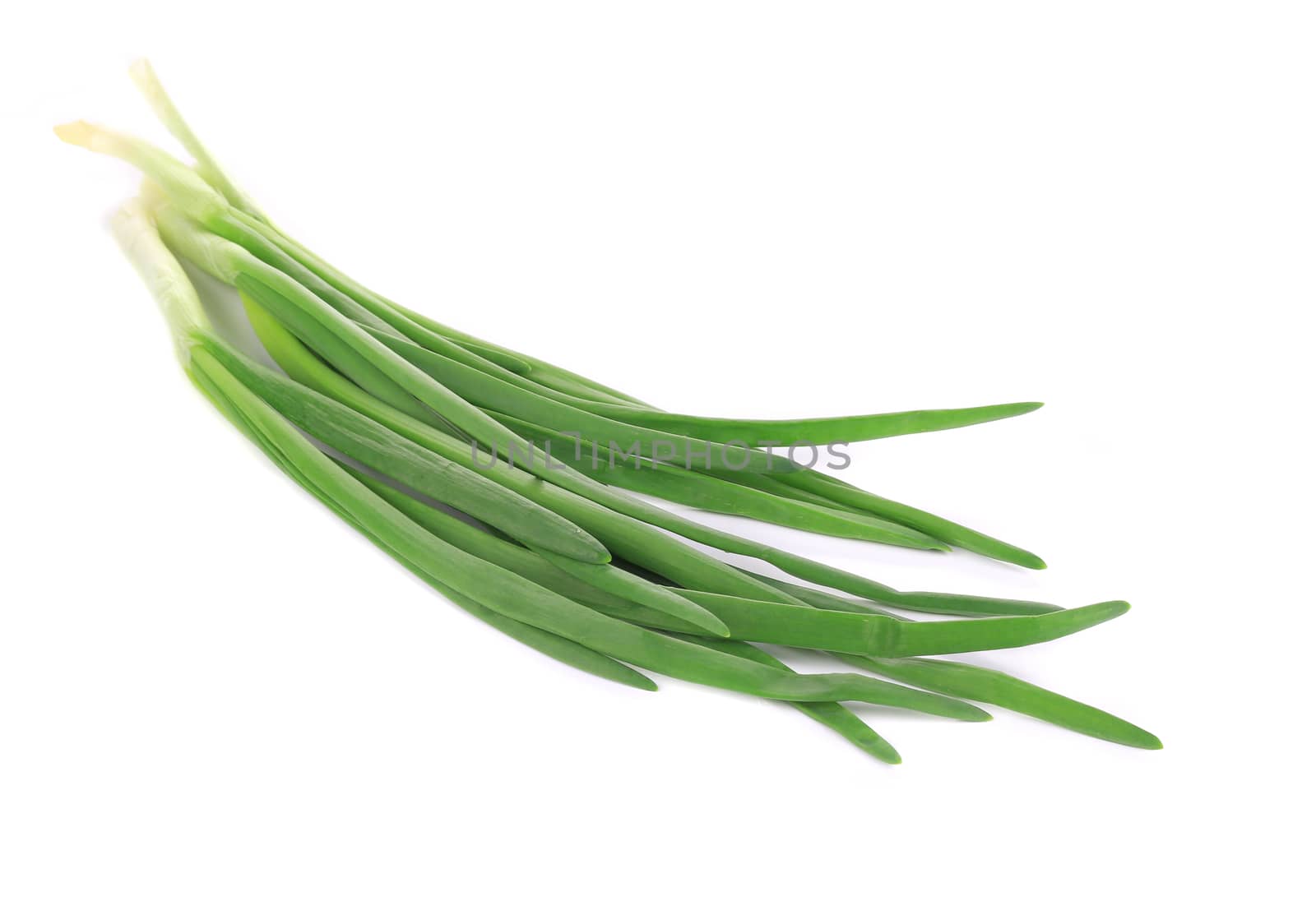 Spring onions. Isolated on a white background.