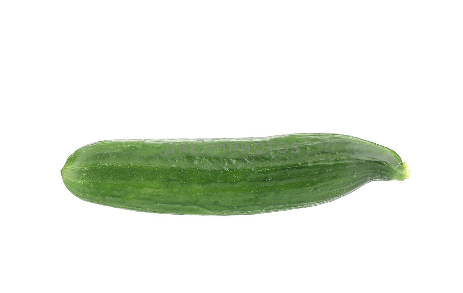 Fresh cucumber. Isolated on a white background.