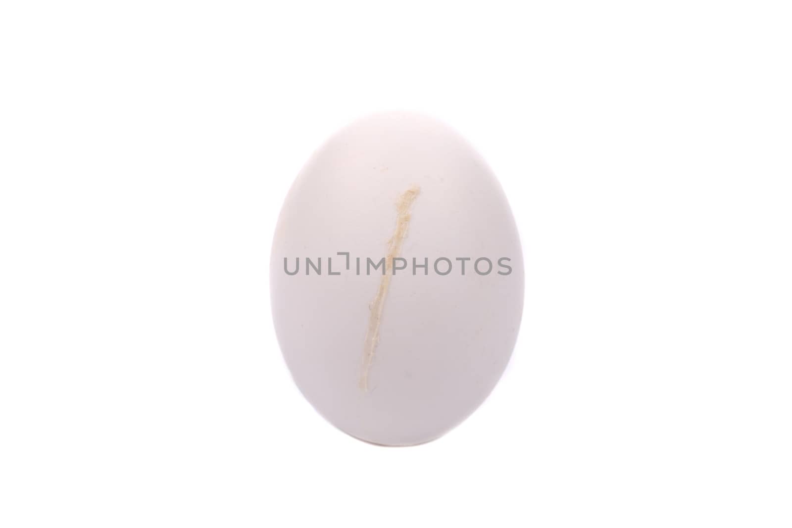 Dirty chicken egg. Isolated on a white background.