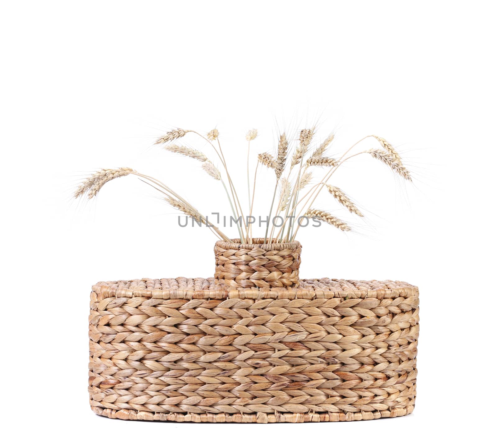 Wicker vase with wheat ears. Isolated on a white background.