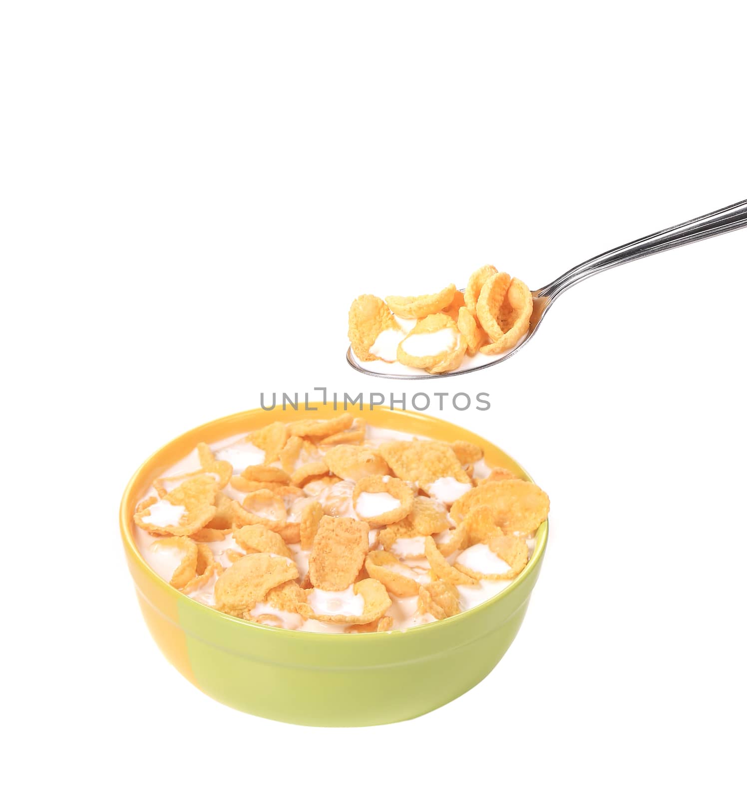 Cereal with milk. Isolated on a white background.