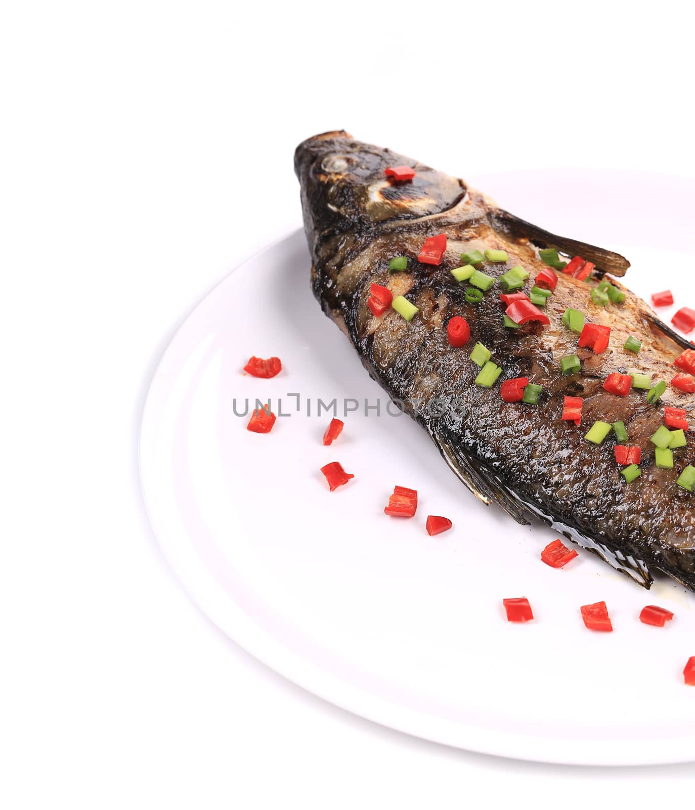 Grilled seabass on a plate. Whole background.
