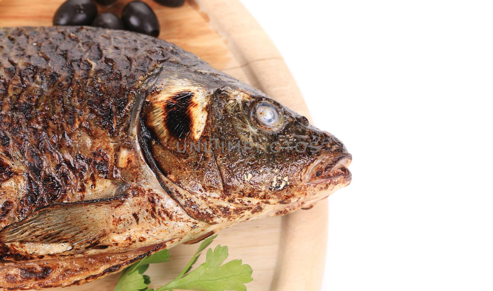 Grilled seabass on plate with vegetables. Whole background.