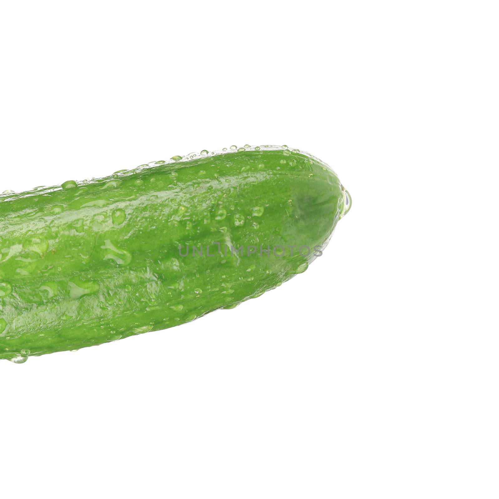 Fresh cucumber with water drops. Isolated on a white background.