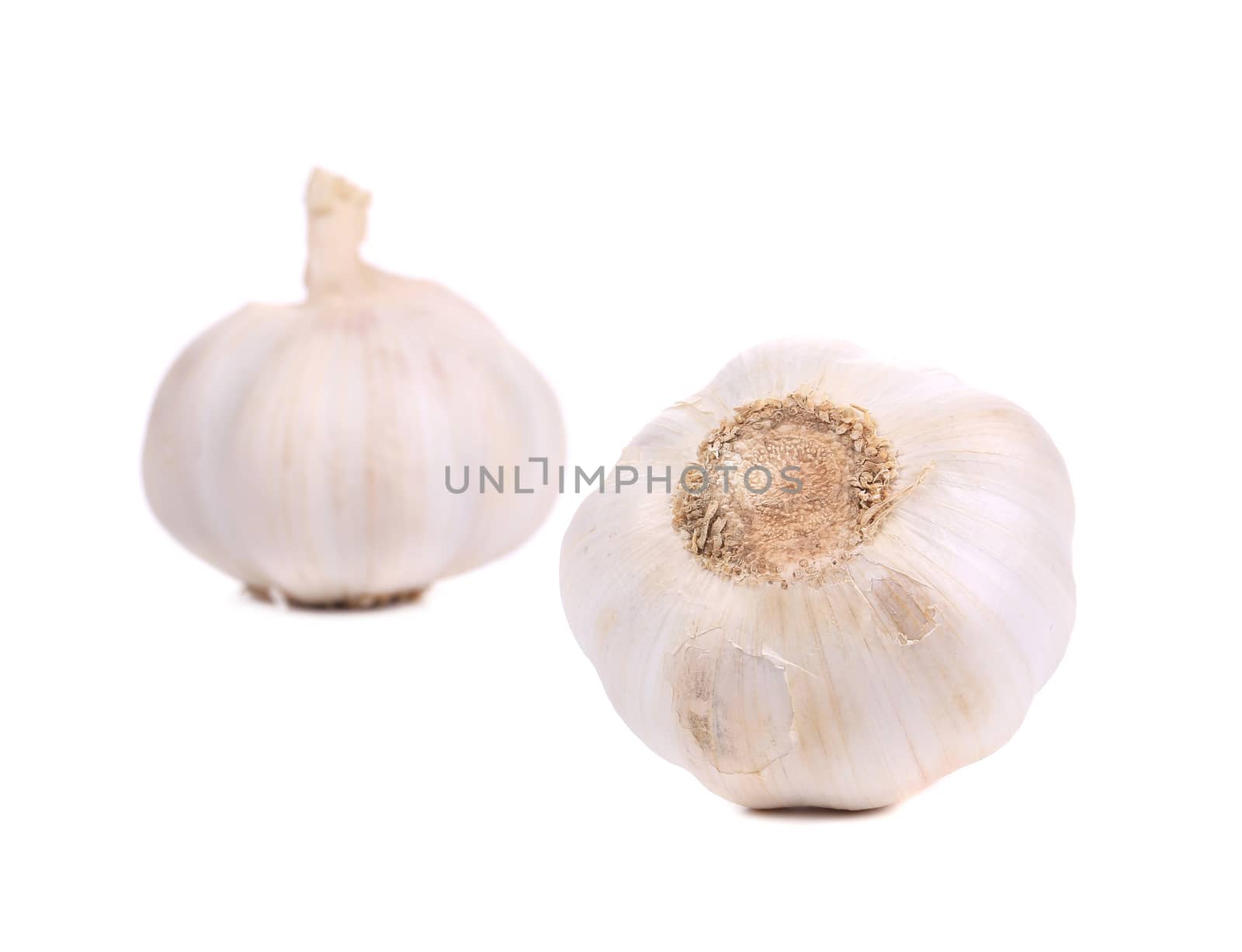 Head of garlic. by indigolotos