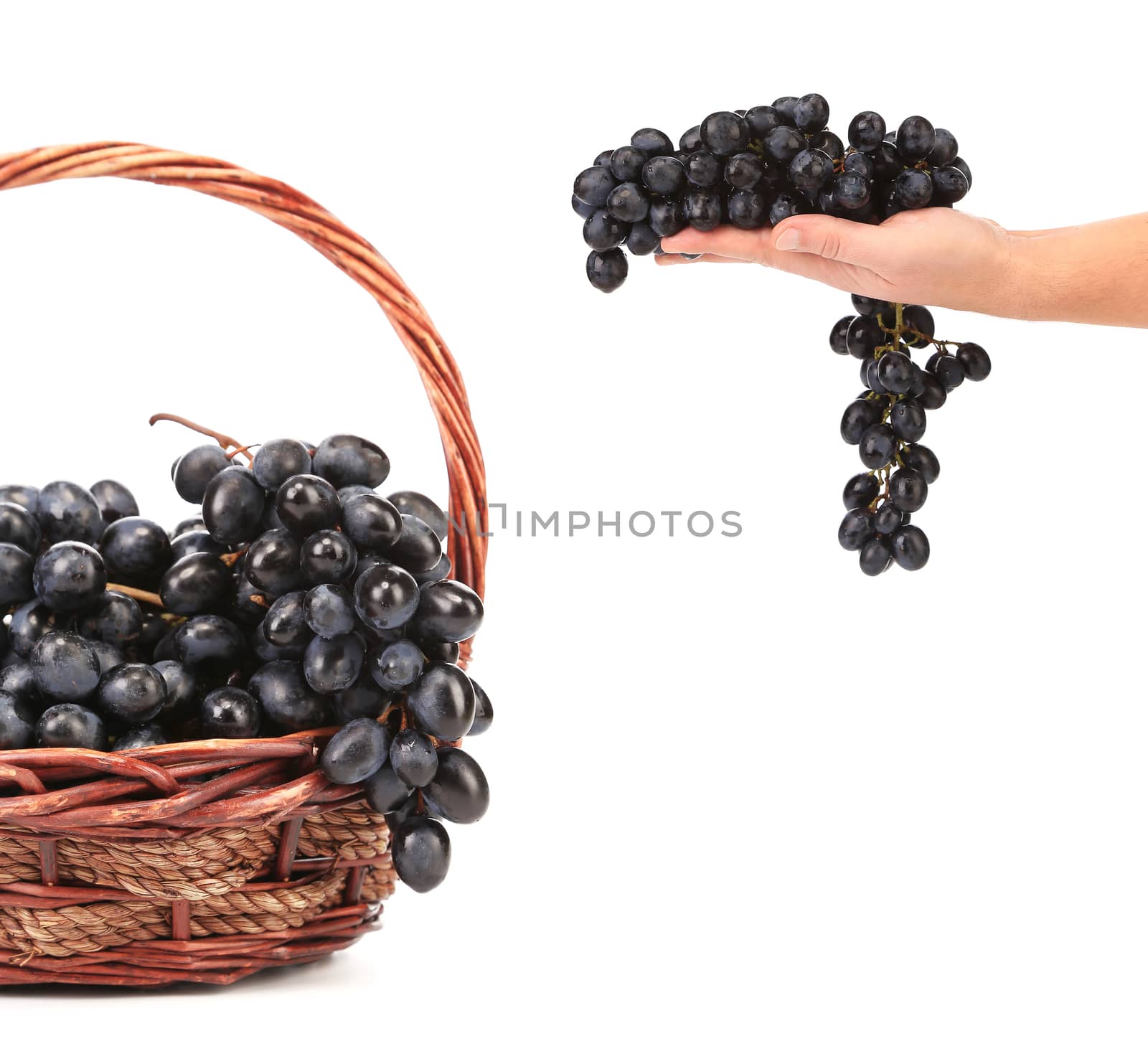 Dark grapes in a wicker basket. Whole background.