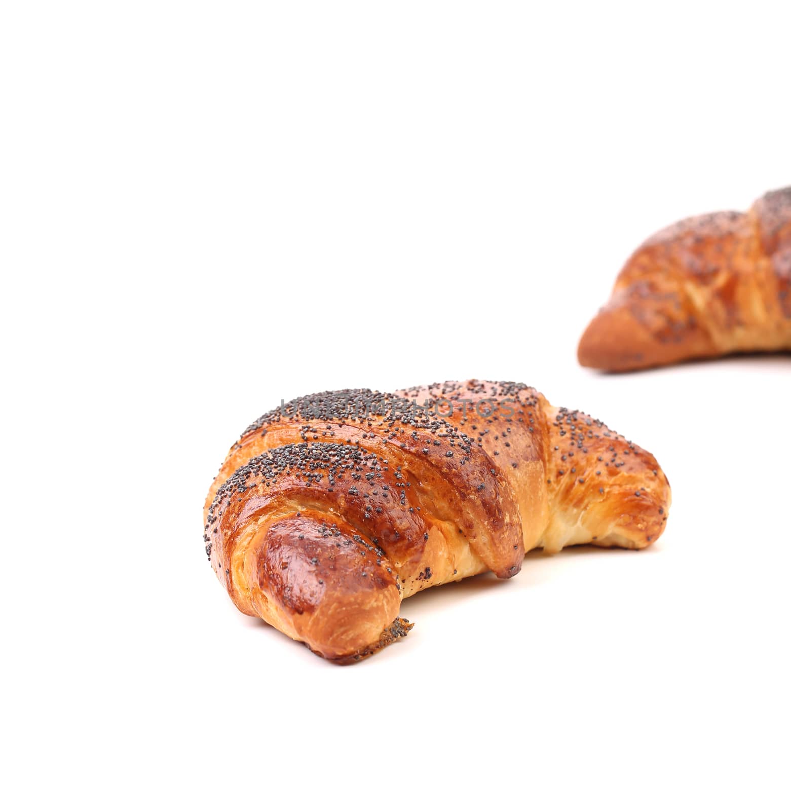 Tasty croissants with poppy. Isolated on a white background.