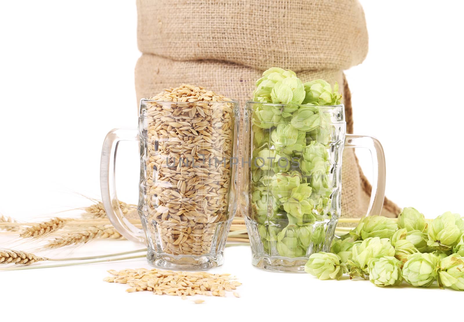 Two mugs with barley and hop. Whole background.