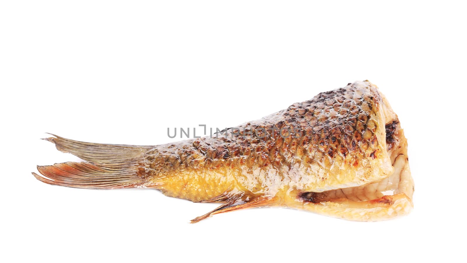 Grilled carp fish tail. Isolated on a white background.
