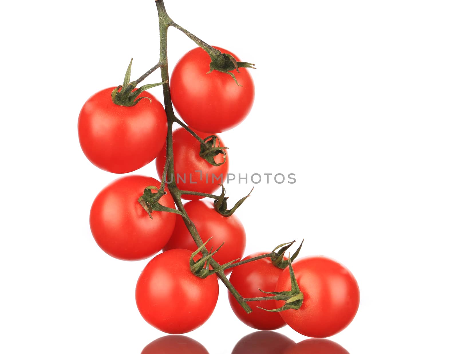 Close up of fresh tomatoes. Whole background.