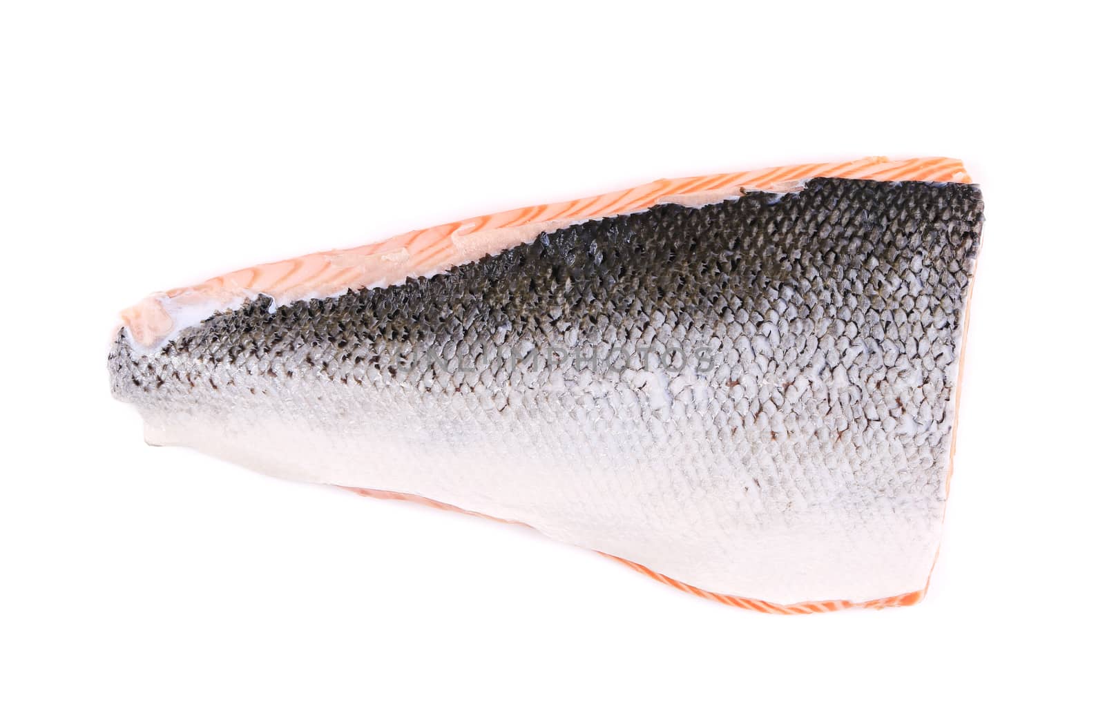 Raw salmon fillet. by indigolotos