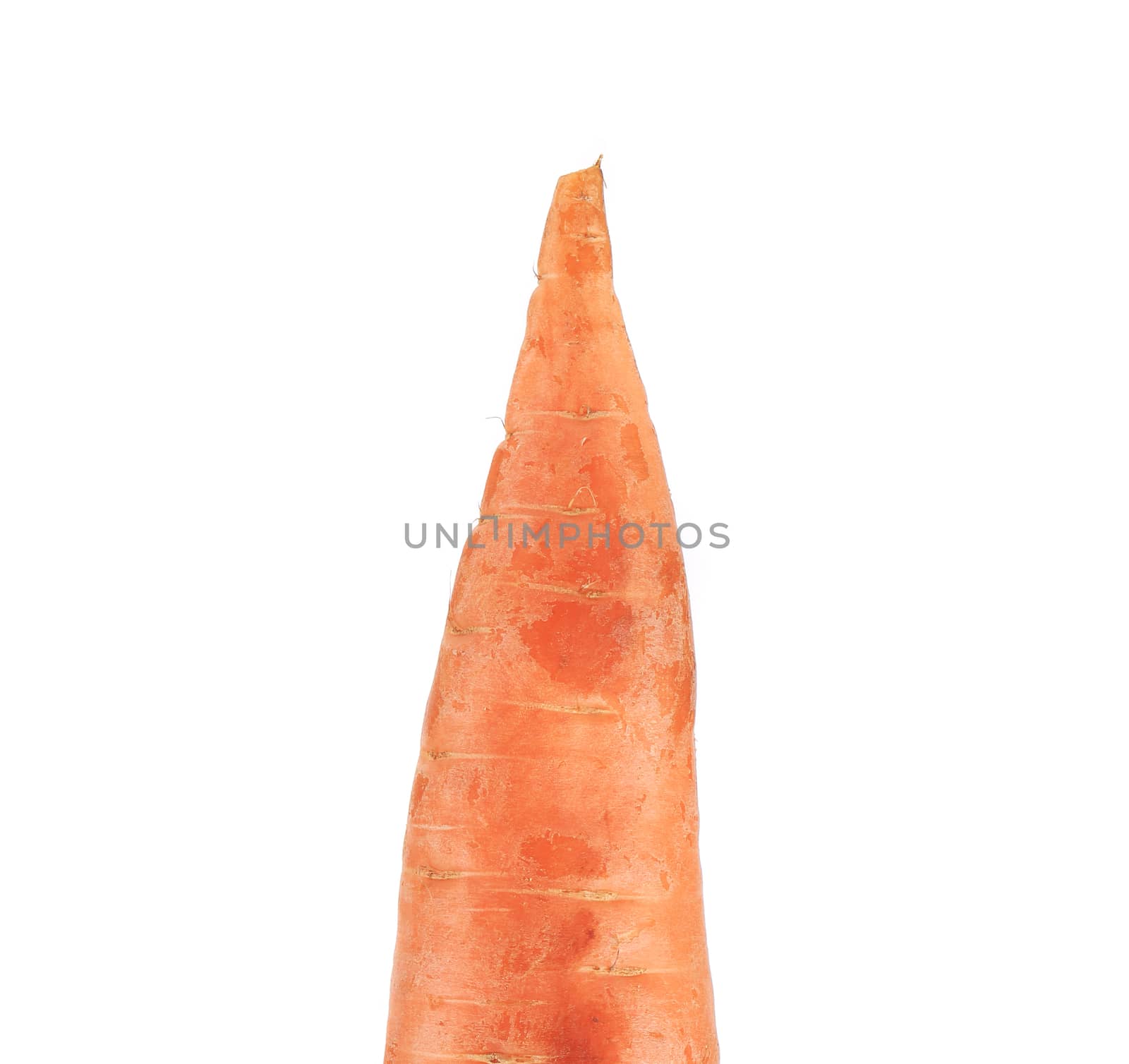 Fresh carrot. Isolated on a white background