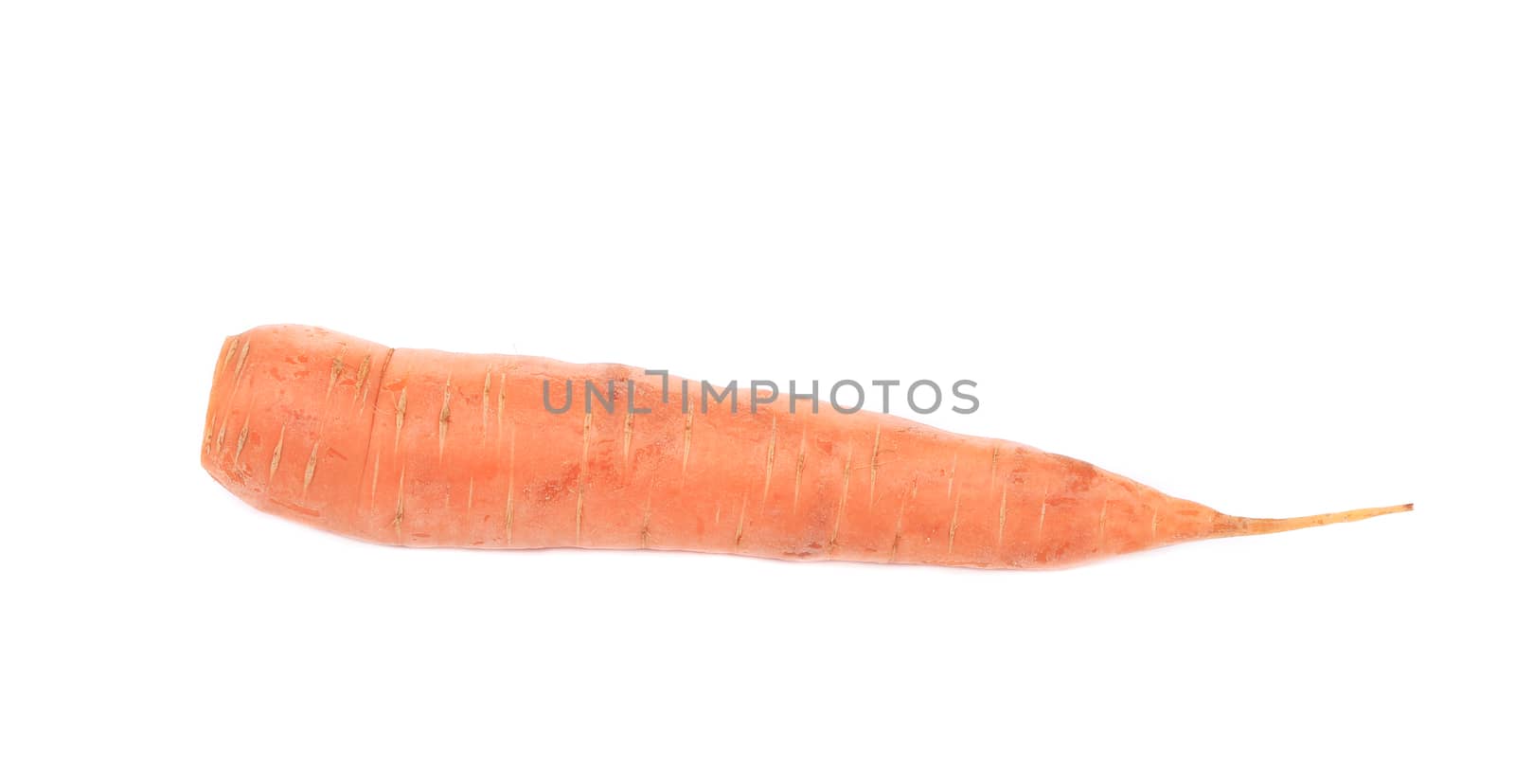 Fresh carrot. Isolated on a white background