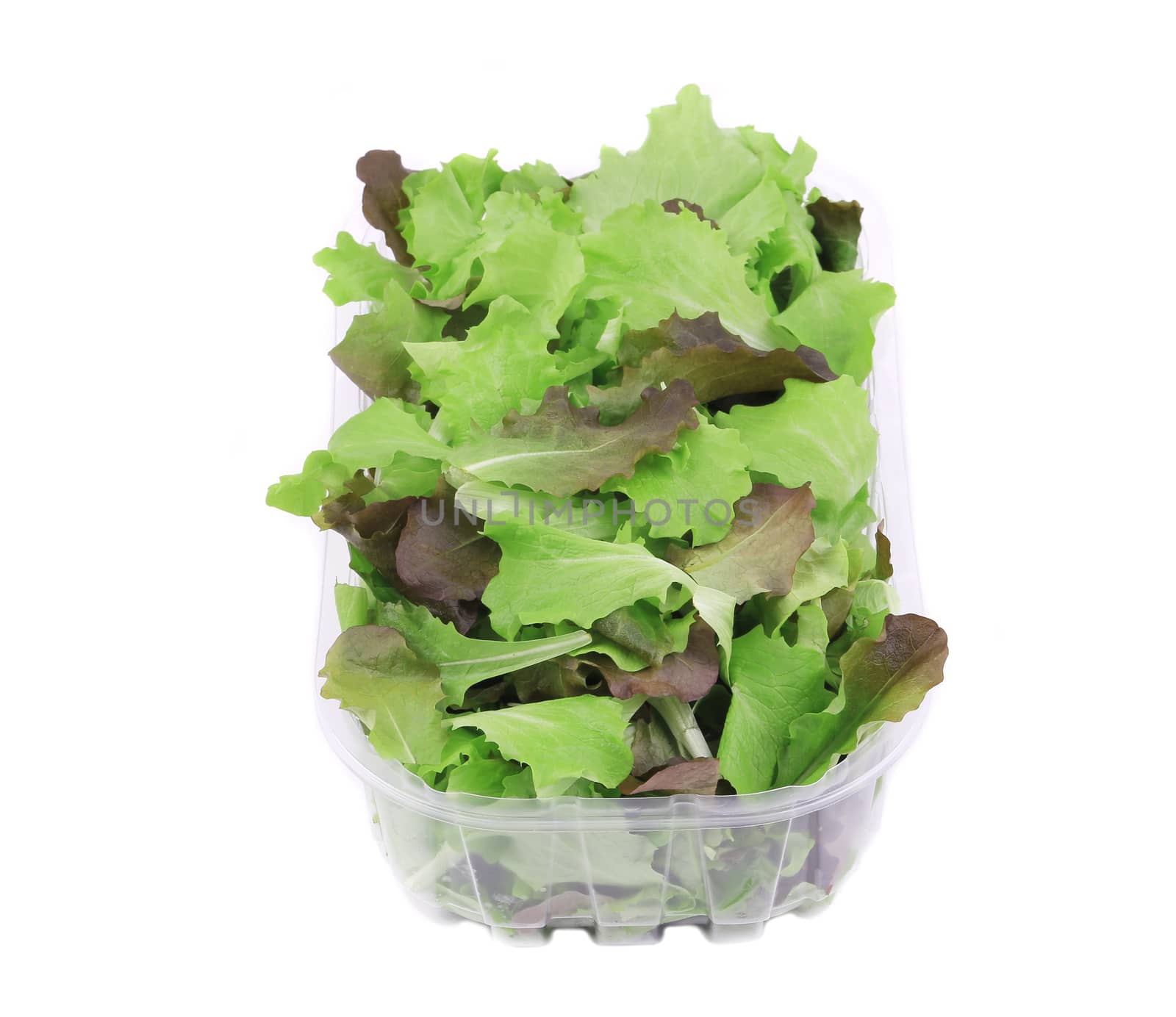 Mix salad in box. Isolated on a white background.
