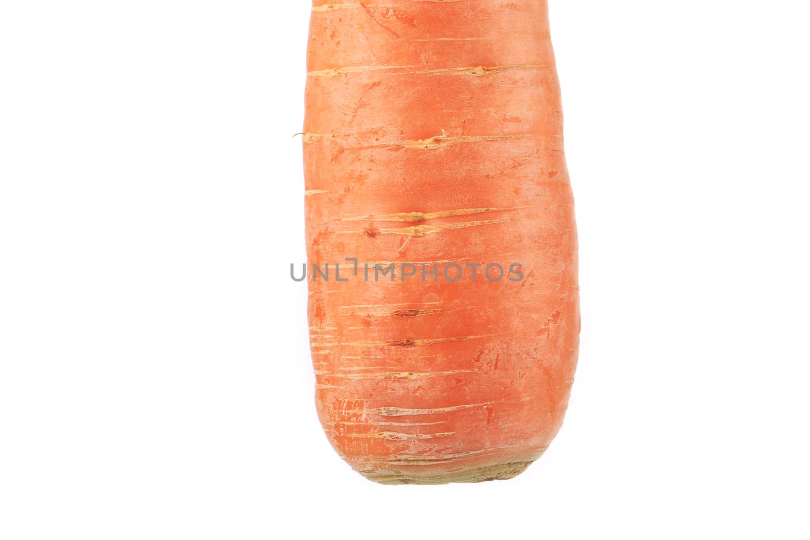 Fresh carrot. Isolated on a white background