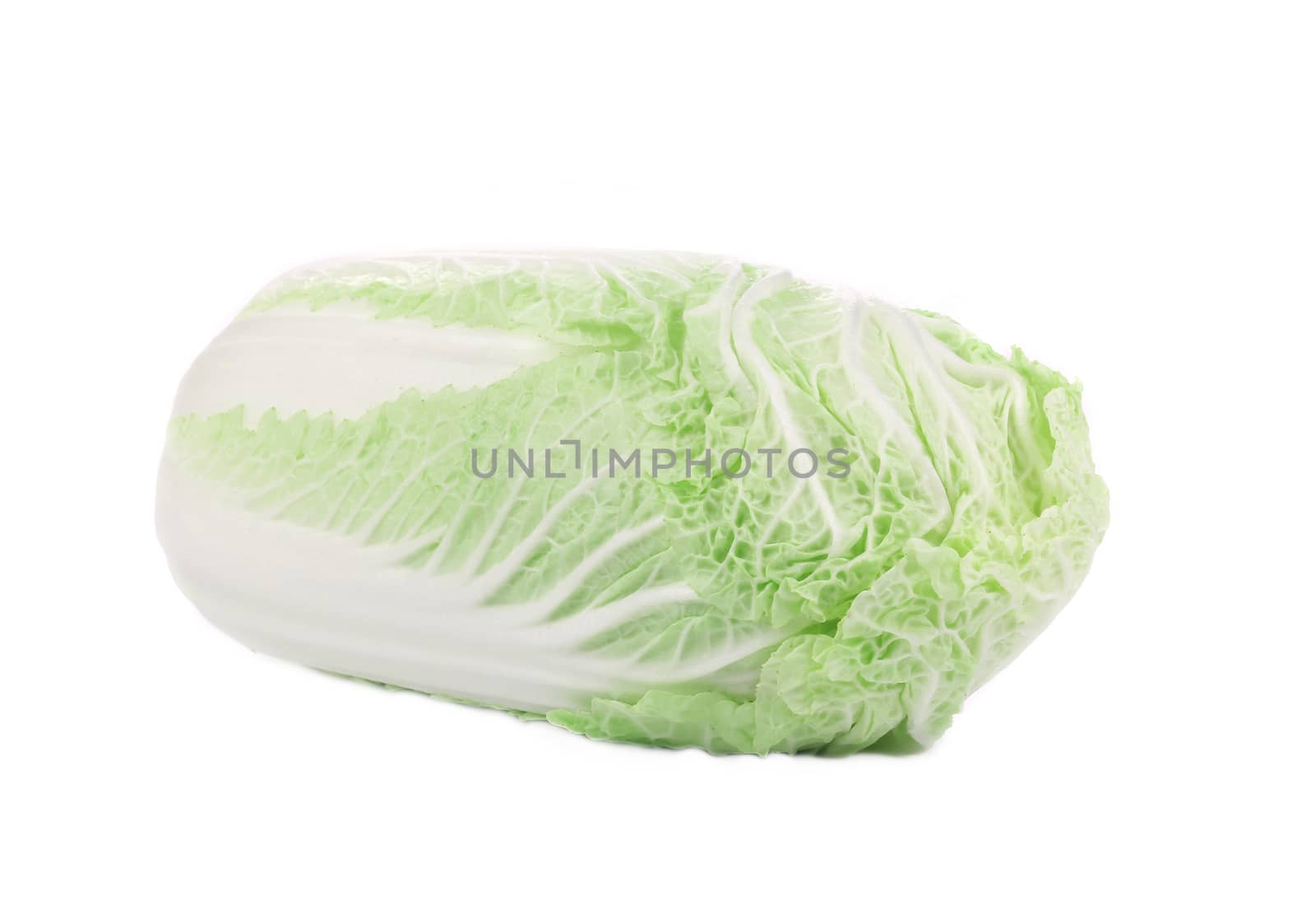 Fresh chinese cabbage. by indigolotos