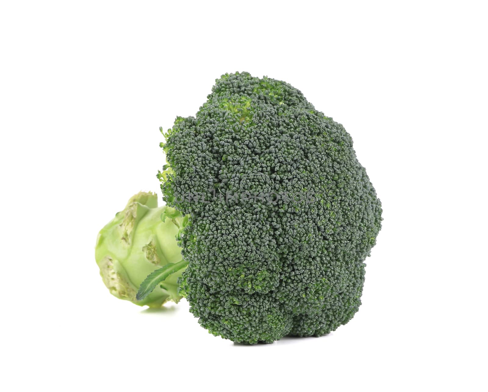 Fresh broccoli. by indigolotos