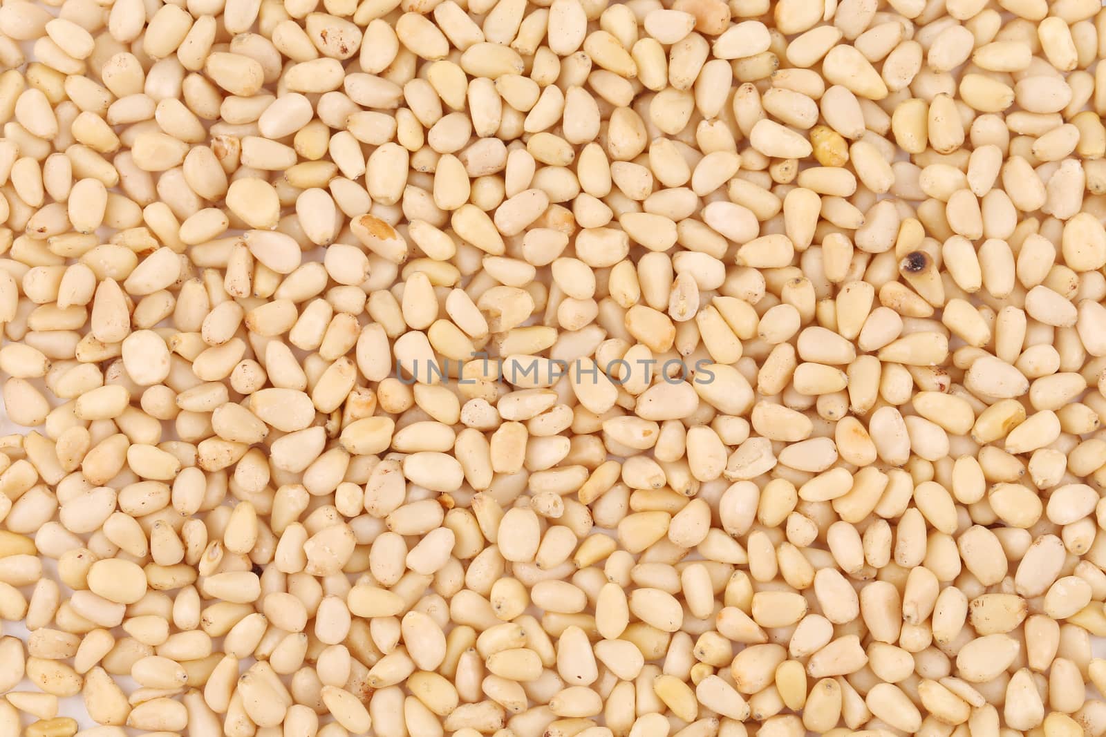 Close up of pine nuts. Macro. Whole background.