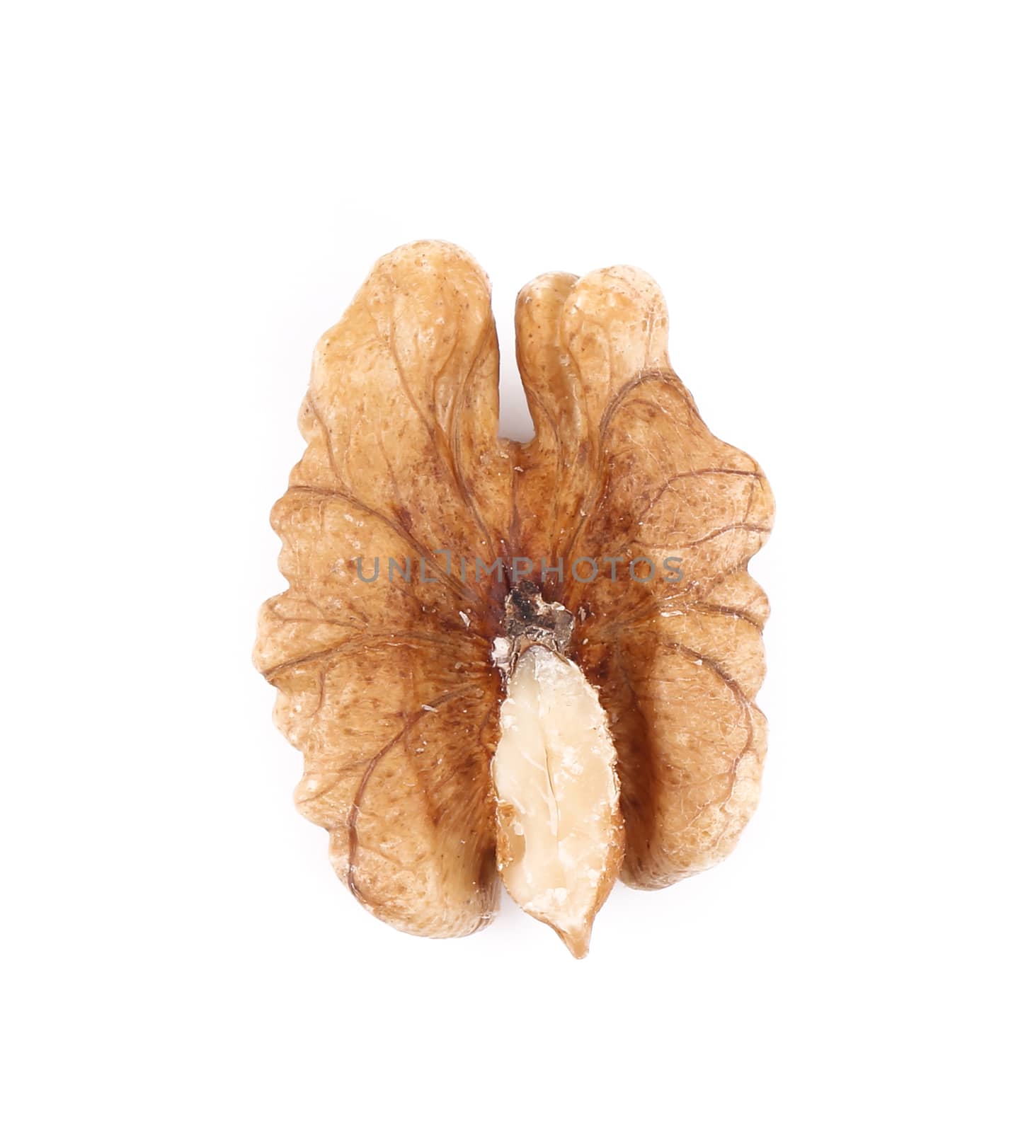 Close up of walnut kernel. Isolated on a white background.