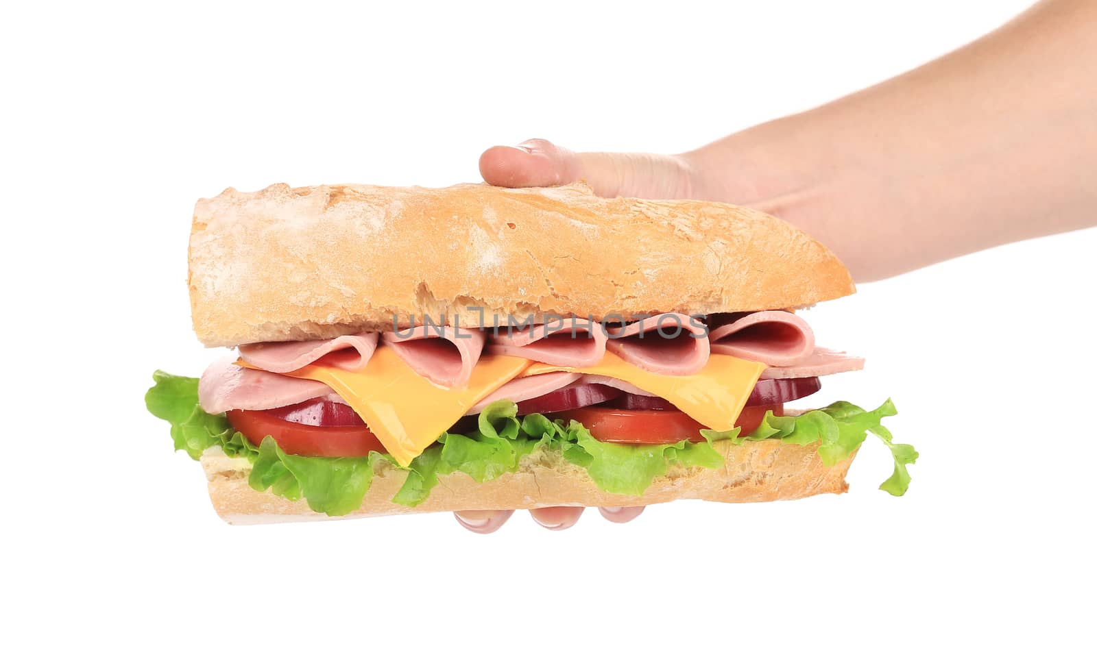 Big fresh sandwich in hand. Isolated on a white background.