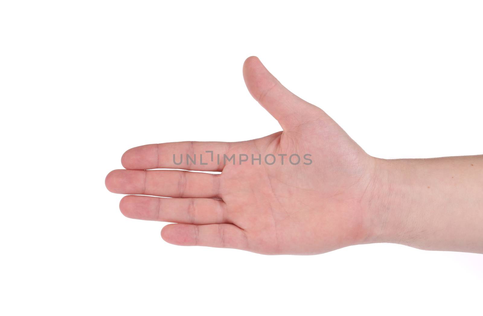 Outstretched hand. Isolated on a white background.