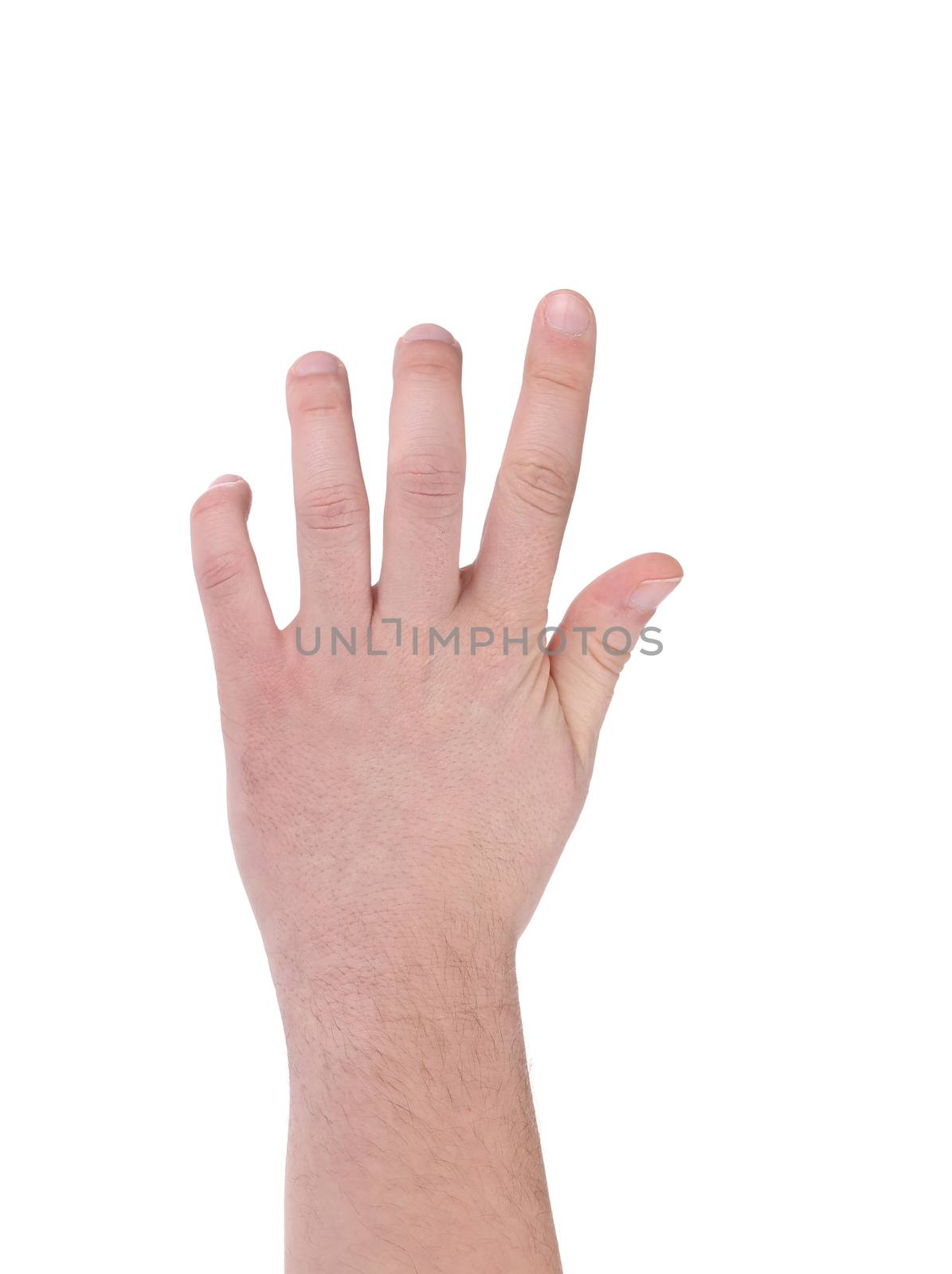 Hand isolated on white gesturing grabbing. Isolated on a white background.