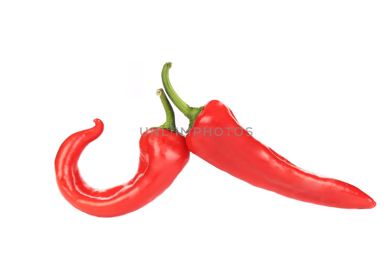 Two red chili peppers. Isolated on a white background.