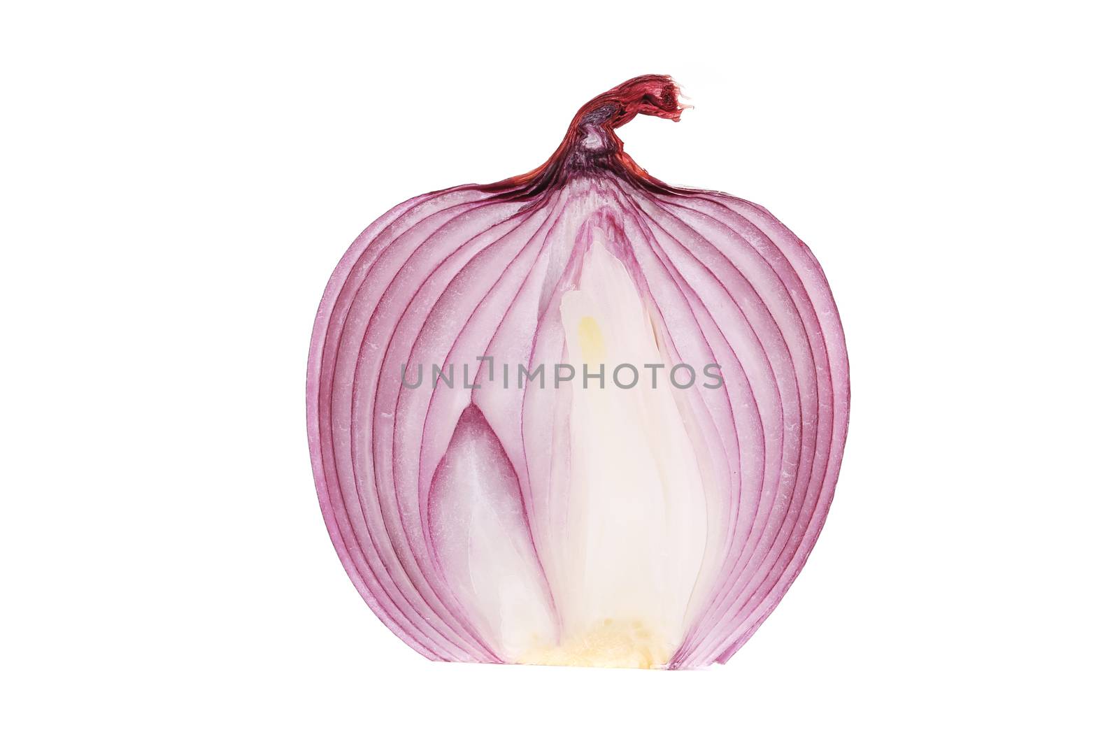 Ripe red onion. Isolated on a white background.