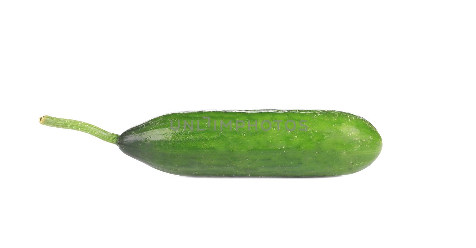 Fresh cucumber. Isolated on a white background.