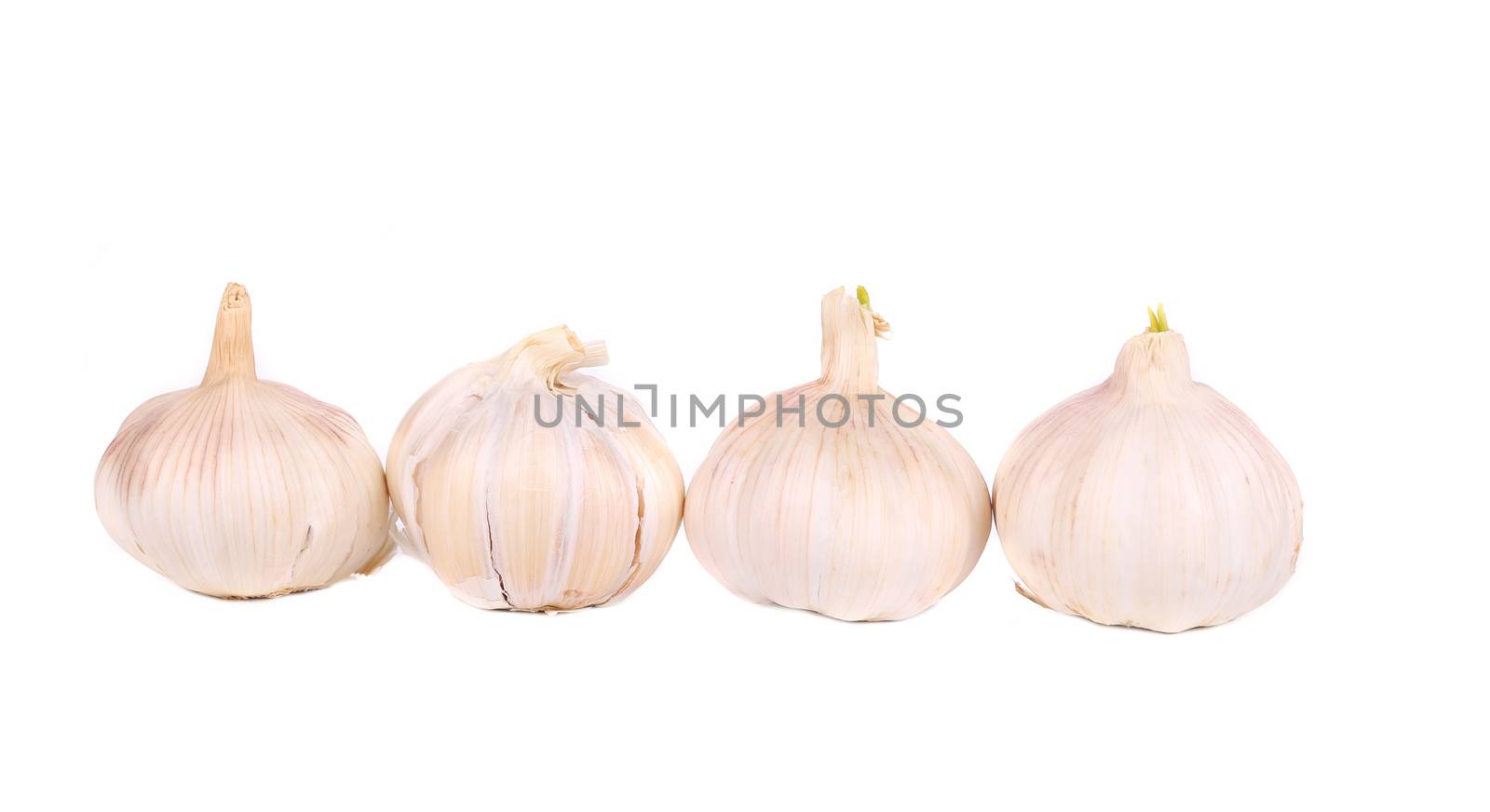 Garlic bulbs. Isolated on a white background.