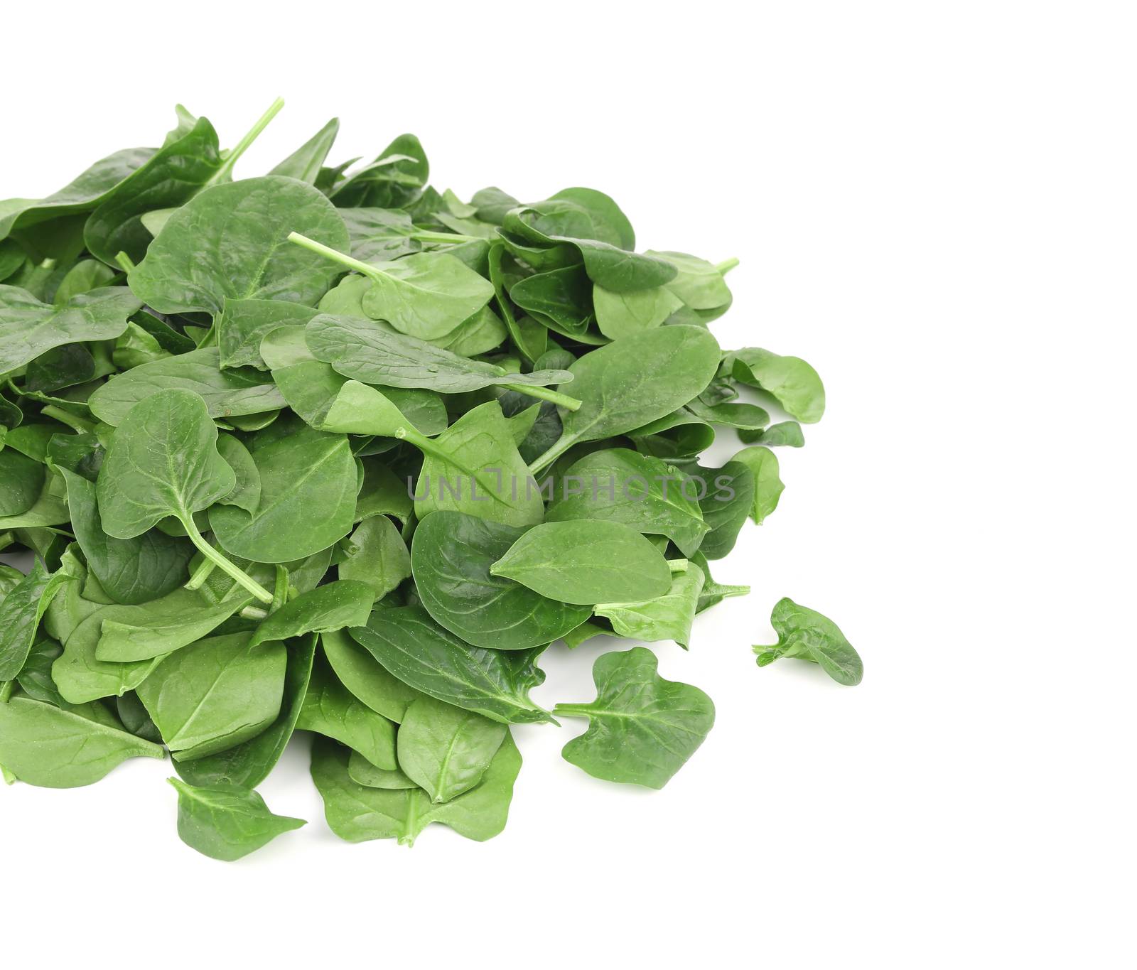 Heap of fresh spinach. Isolated on a white background.