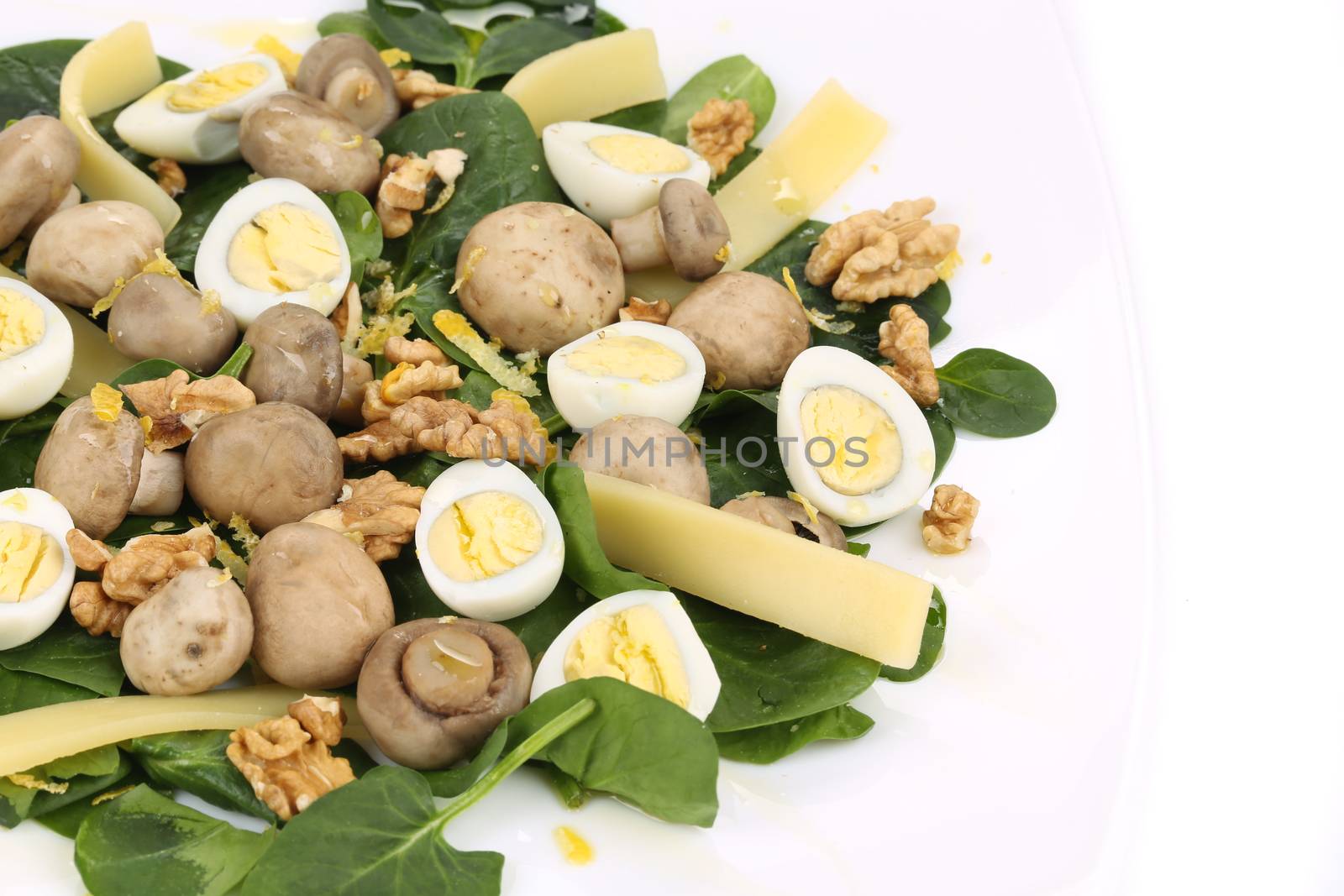 Mushroom salad with walnuts and parmesan. Isolated on a white background.
