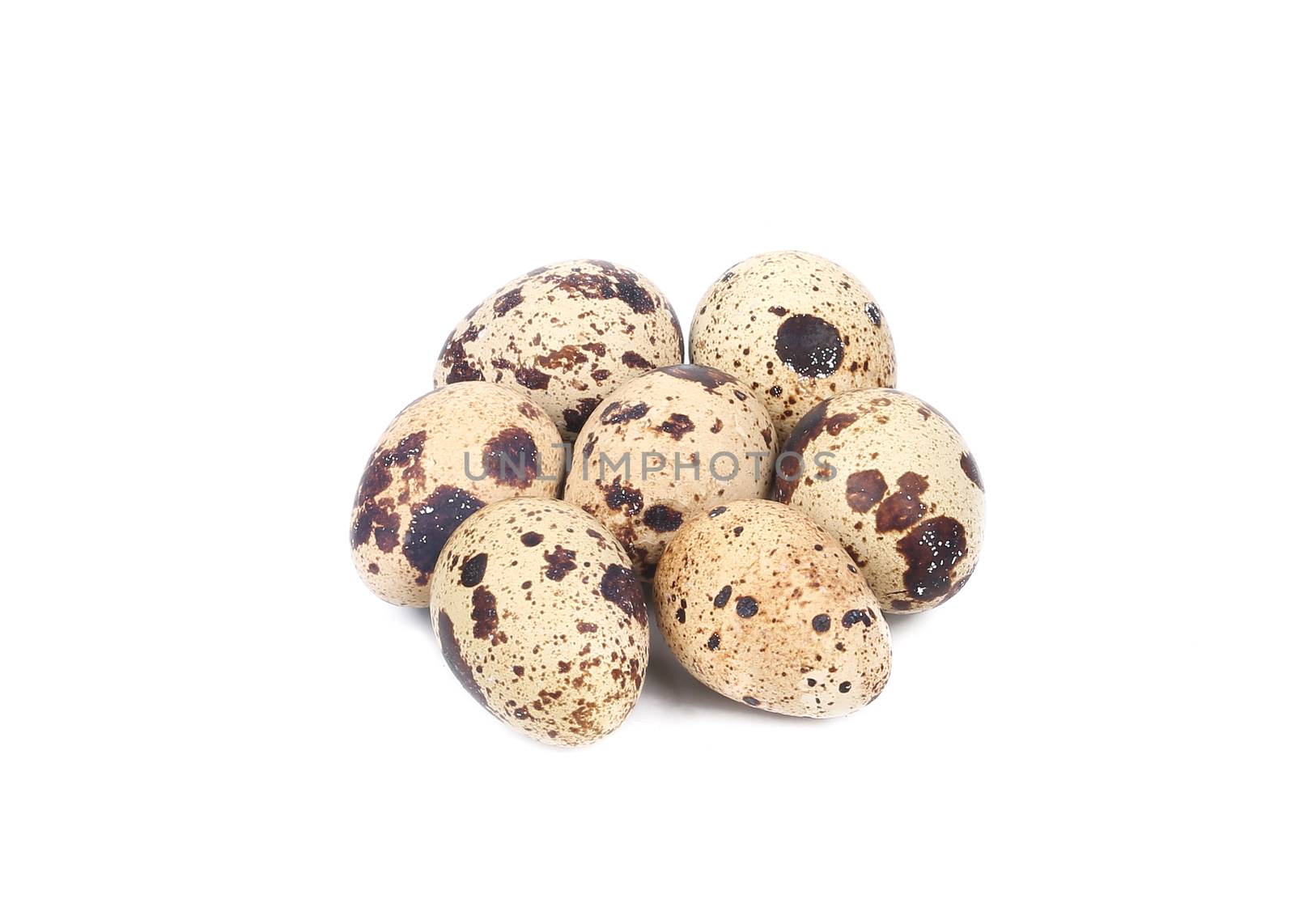 Fresh quail eggs. Isolated on a white background.