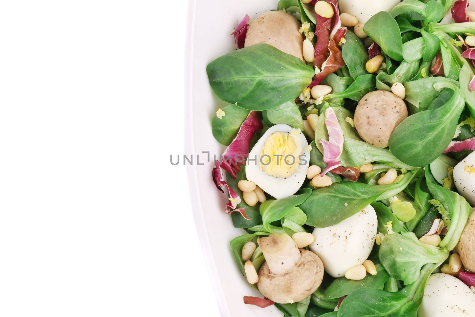 Mushroom salad with pine nuts and radicchio. Isolated on a white background.