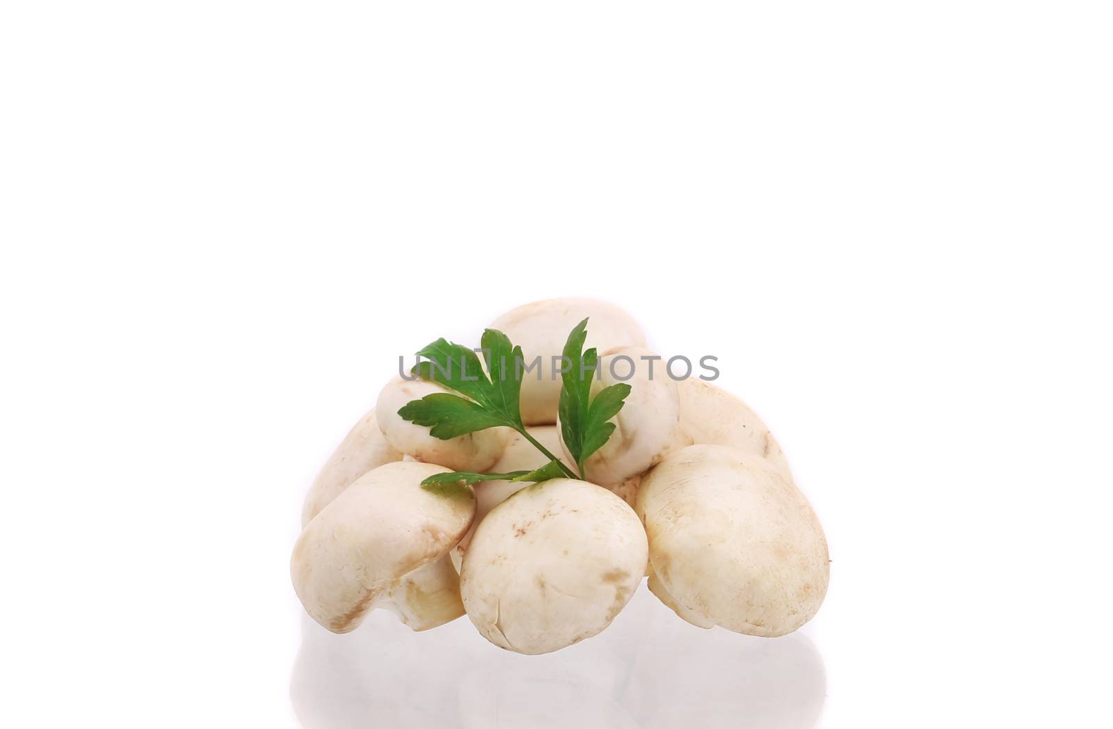 Fresh champignon mushrooms. Isolated on a white background.