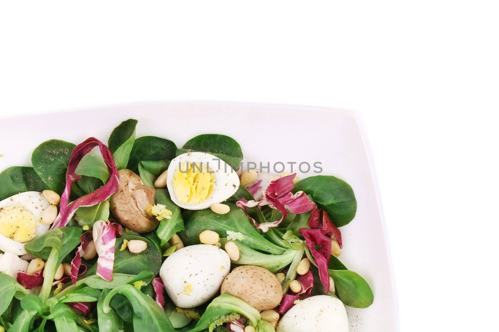 Mushroom salad with pine nuts and radicchio. Isolated on a white background.