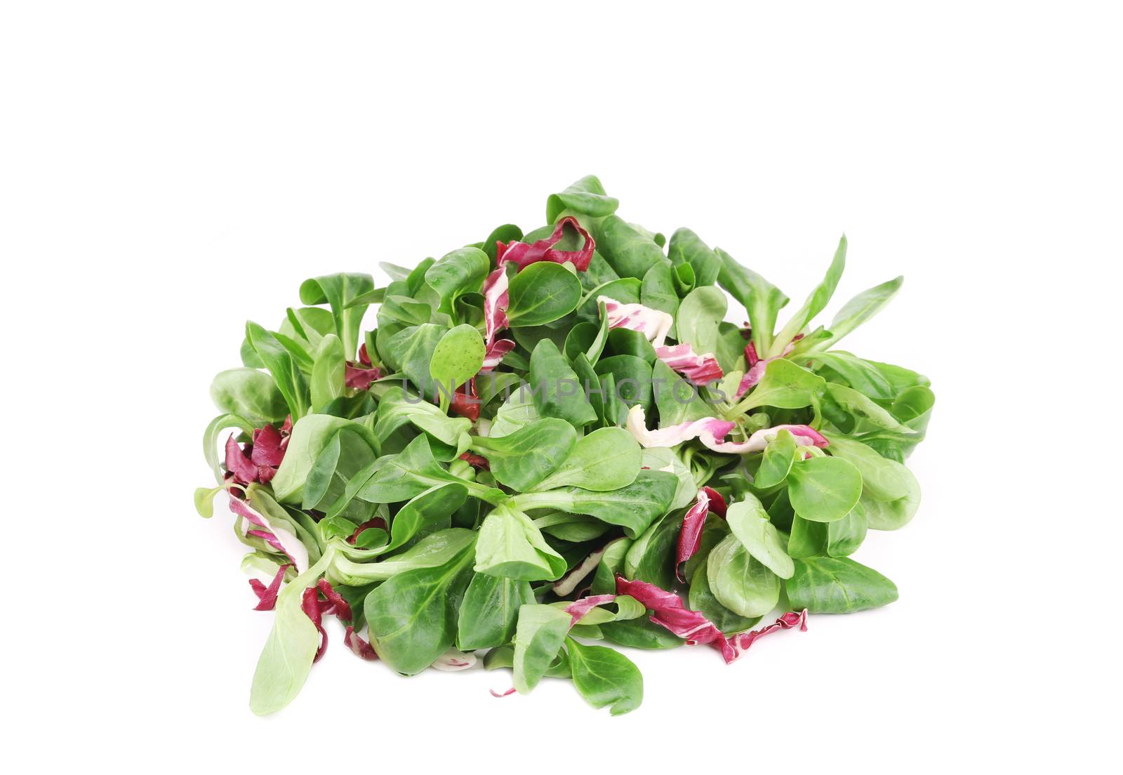 Spinach and radicchio rosso mix. Isolated on a white background.