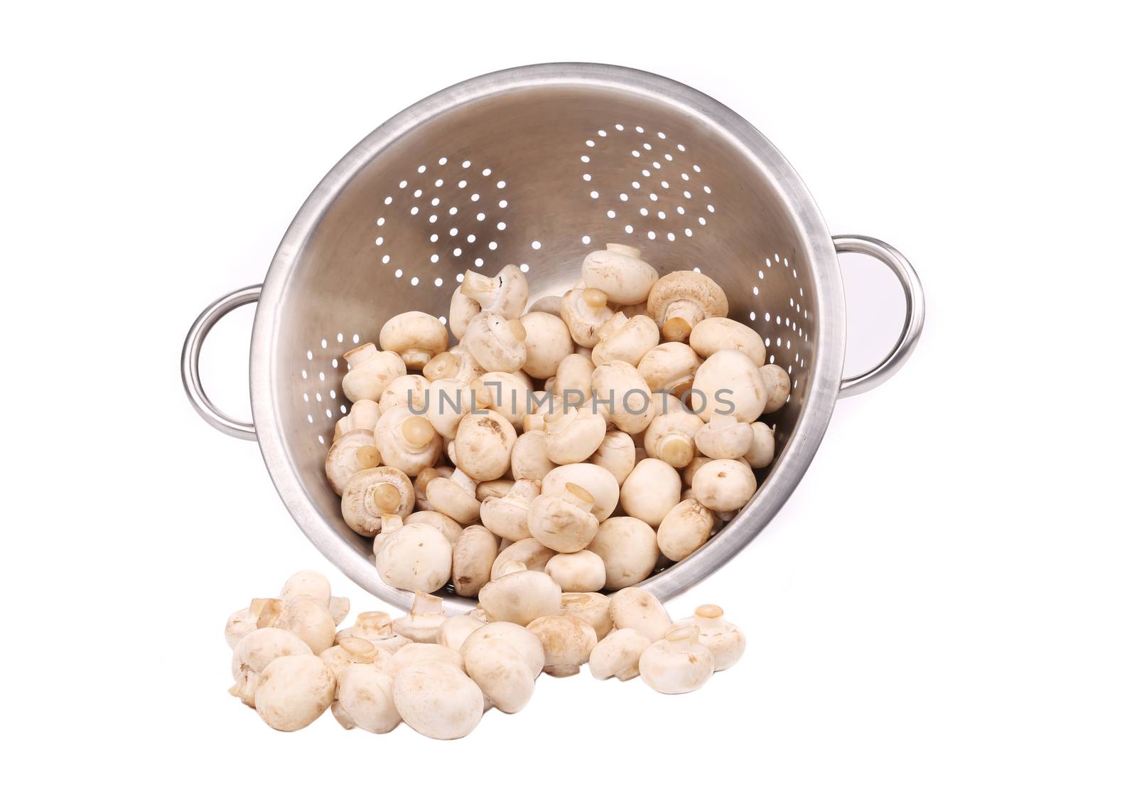 Metal colander with fresh champignon mushrooms. Isolated on a white background.