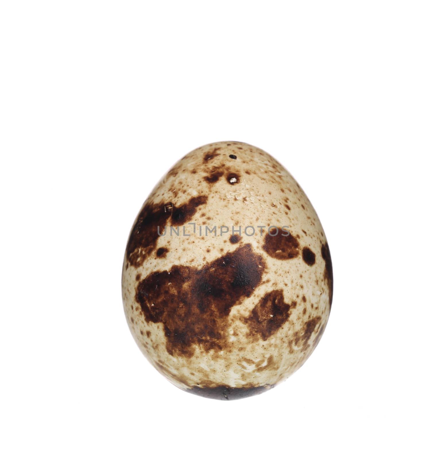 Raw quail egg. Isolated on a white background.