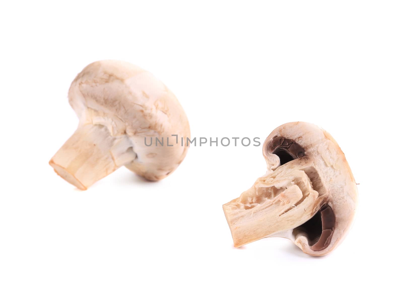 Fresh champignon mushrooms. Isolated on a white background.