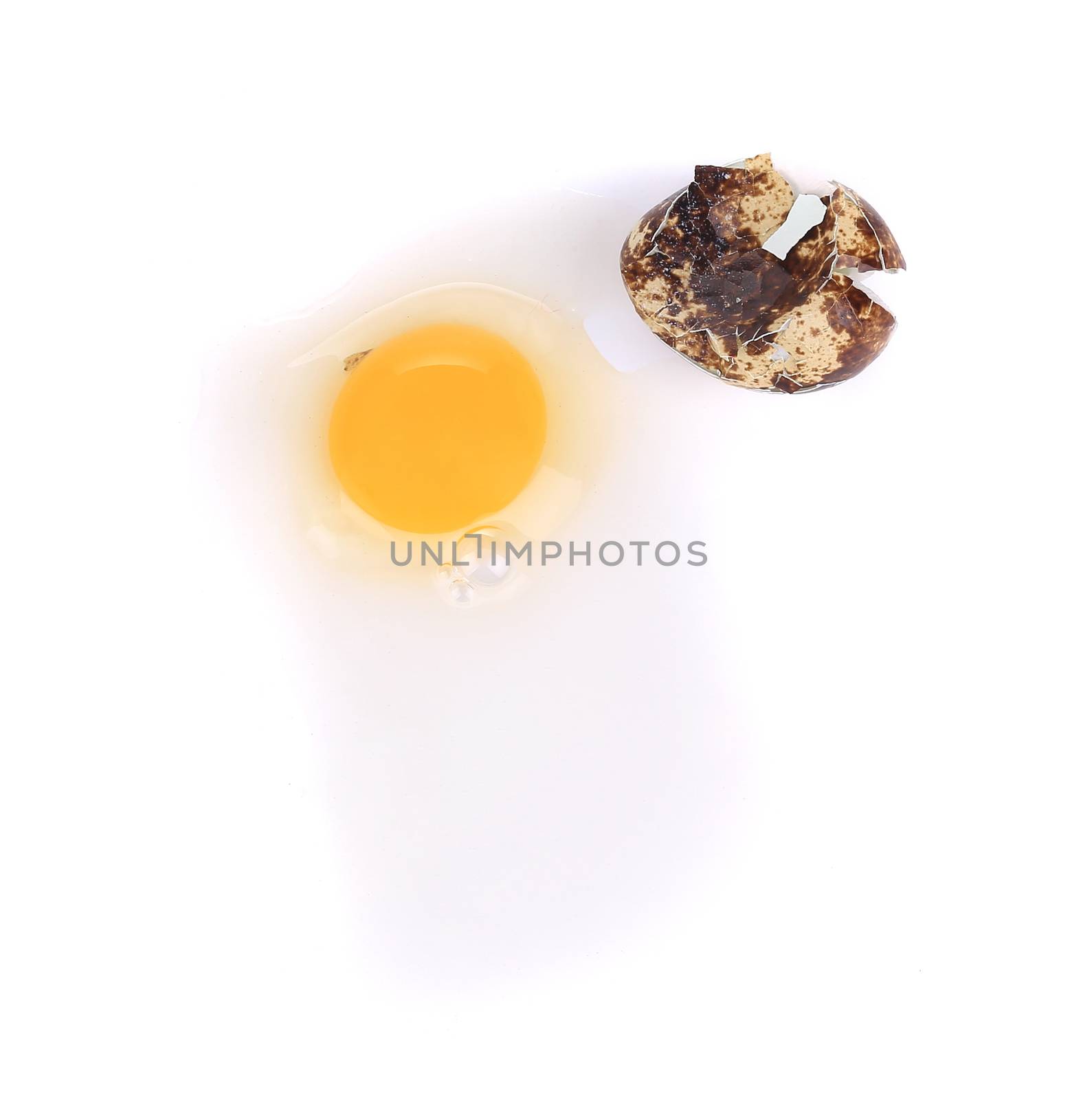 Broken quail egg. Isolated on a white background.