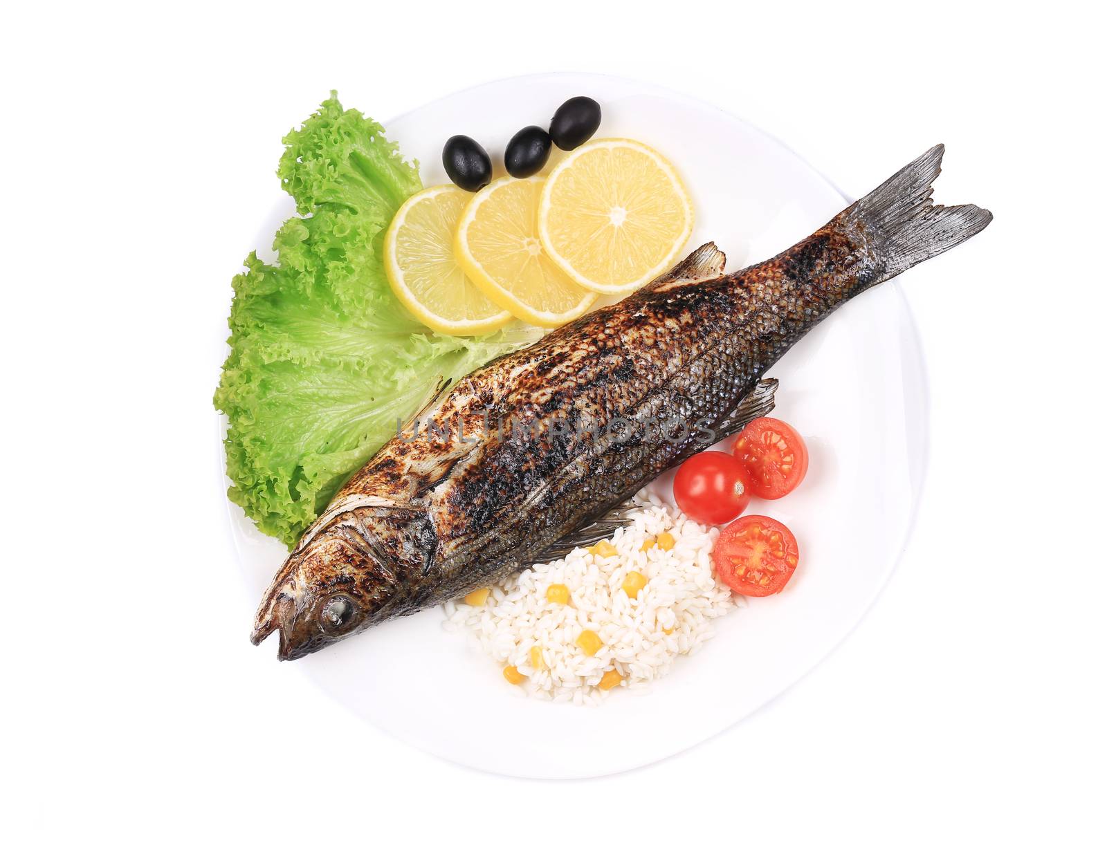 Grilled fish with vegetables on plate. Isolated on a white background.